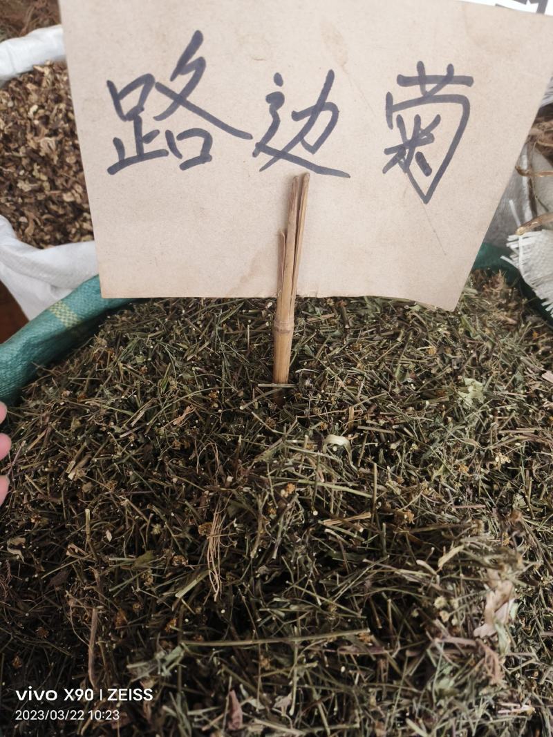 中药材路边菊新货货源充足批发零售欢迎咨询采购