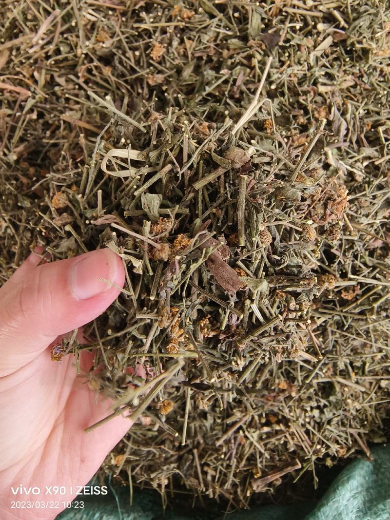 中药材路边菊新货货源充足批发零售欢迎咨询采购