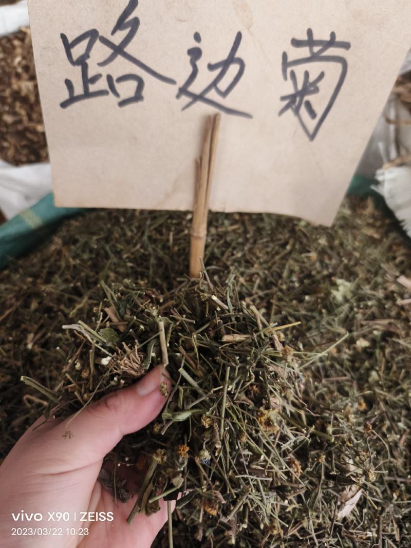 中药材路边菊新货货源充足批发零售欢迎咨询采购