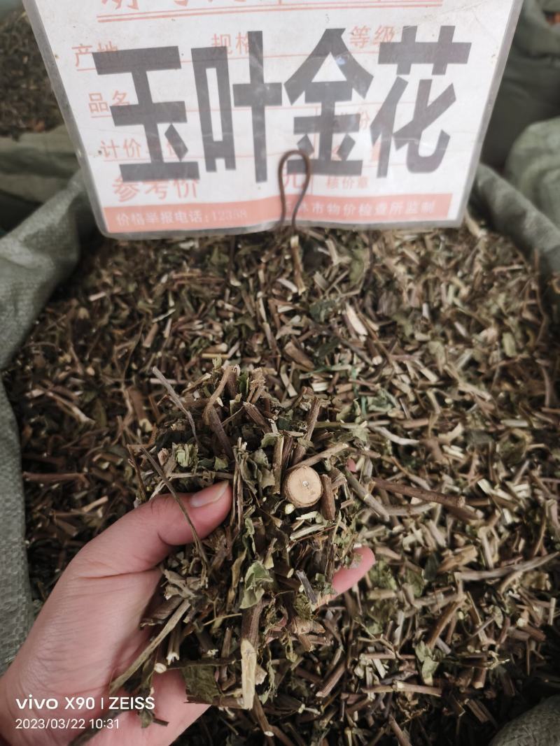 中药材玉叶金花白纸扇新货货源充足批发零售