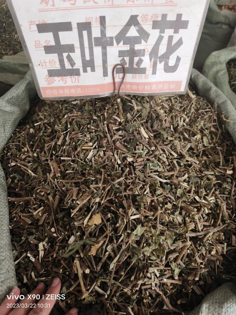 中药材玉叶金花白纸扇新货货源充足批发零售