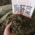 中药材狗肝菜新货青绿货源充足批发零售