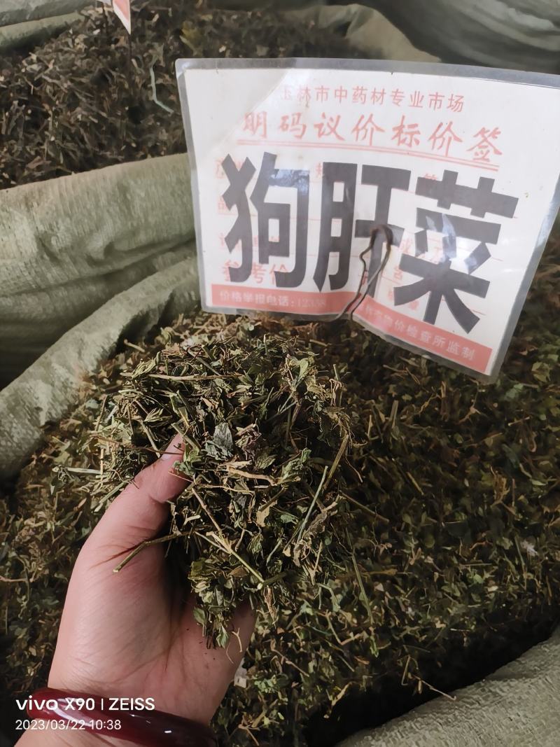 中药材狗肝菜新货青绿货源充足批发零售