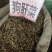 中药材狗肝菜新货青绿货源充足批发零售