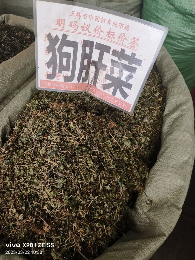 中药材狗肝菜新货青绿货源充足批发零售