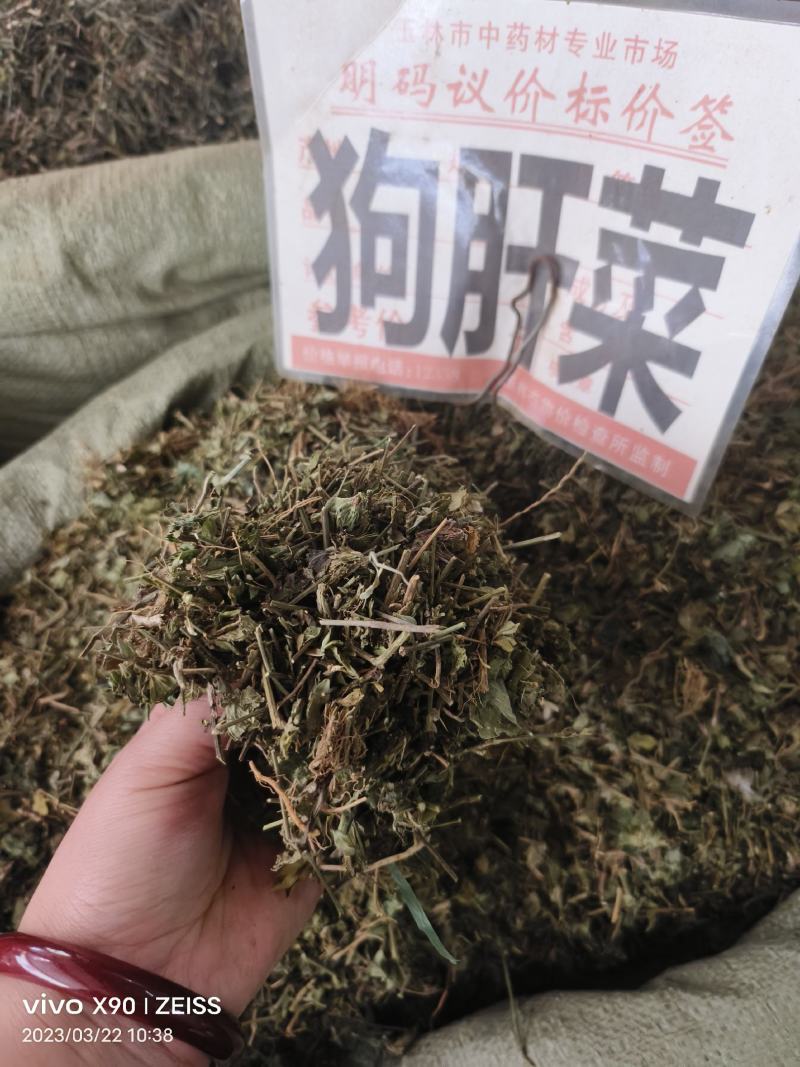 中药材狗肝菜新货青绿货源充足批发零售