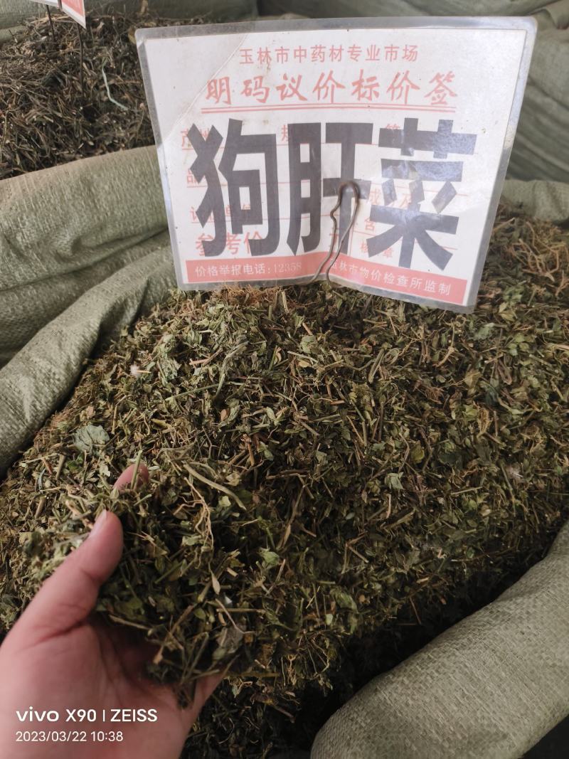 中药材狗肝菜新货青绿货源充足批发零售