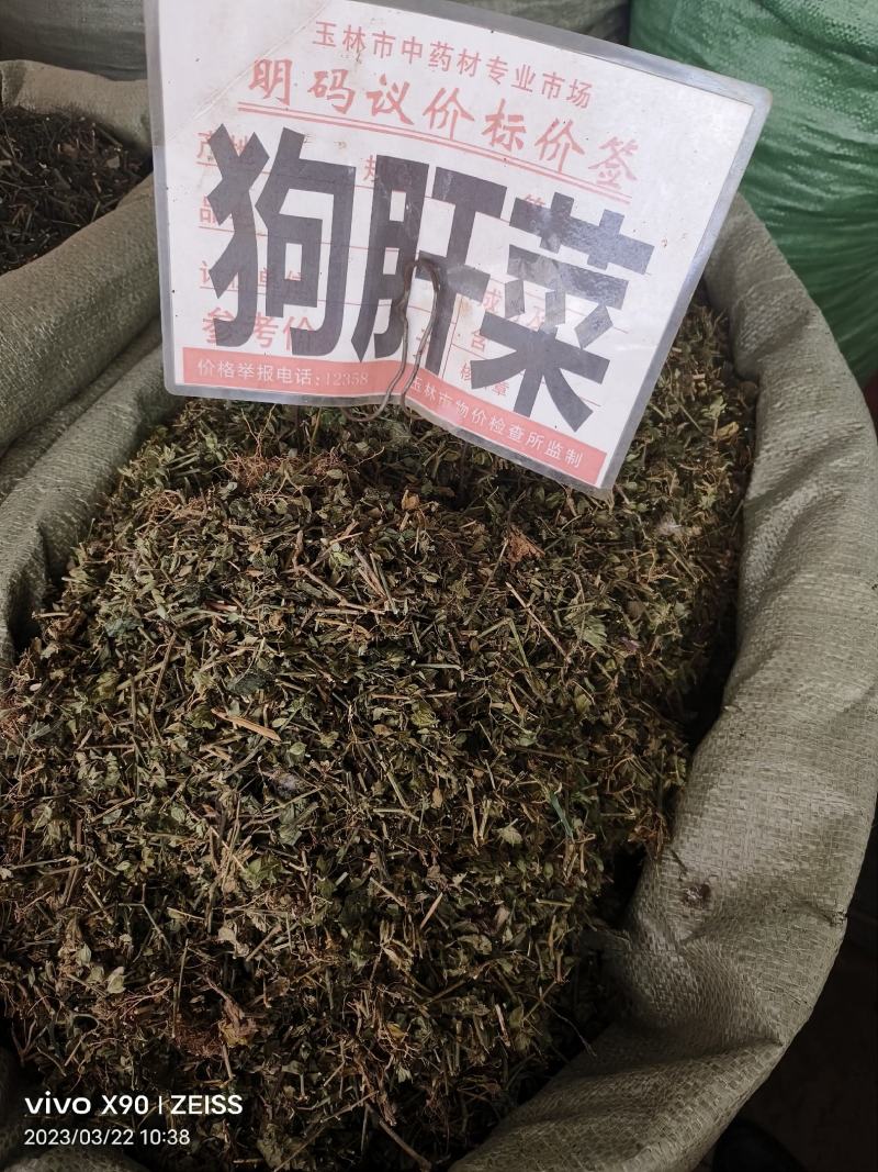 中药材狗肝菜新货青绿货源充足批发零售