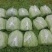 自产自销，二茬精品芦蒿