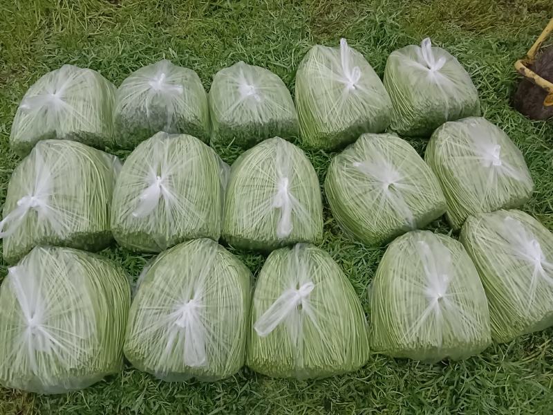 自产自销，二茬精品芦蒿
