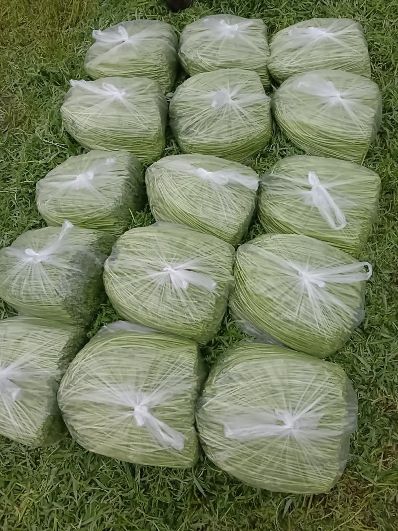 自产自销，二茬精品芦蒿