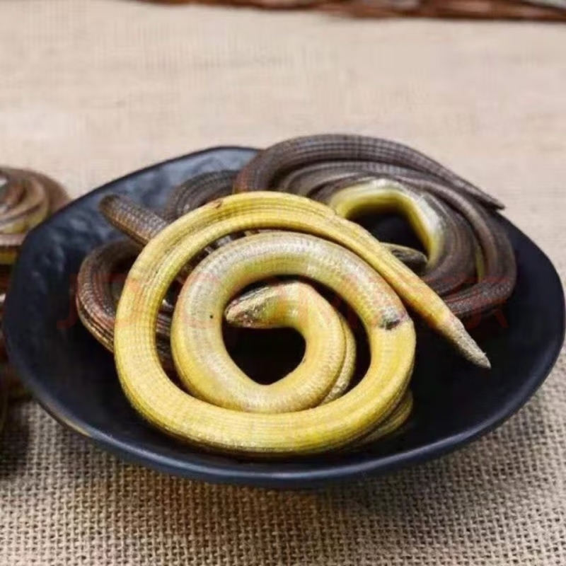脆蛇中药