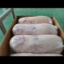 烤乳猪一手货源证件齐全全国发货食材供应