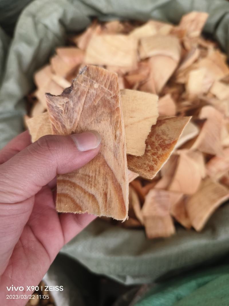 中药材松节新货货源充足批发零售量大优惠
