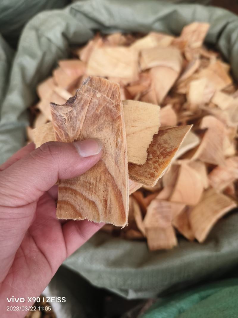中药材松节新货货源充足批发零售量大优惠