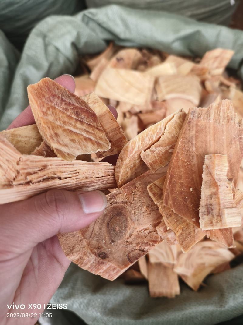 中药材松节新货货源充足批发零售量大优惠
