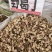 中药材野葛根柴葛根新货货源充足批发零售