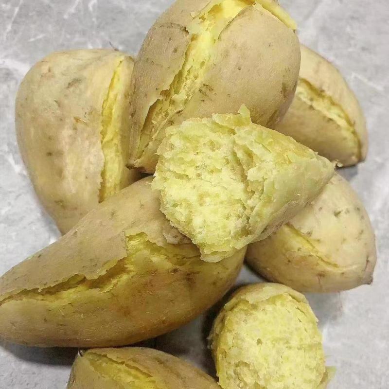 广东潮汕鸡蛋黄心板栗地瓜白皮番薯甜糯红薯新鲜沙地现挖白薯