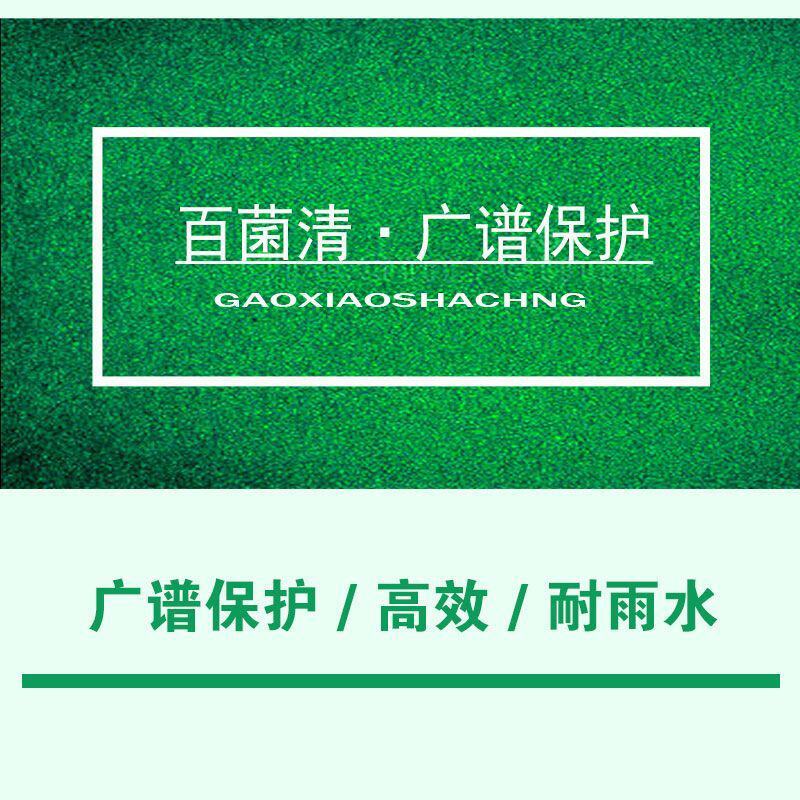 百菌清番茄早疫病锈病炭疽病叶斑病霜霉病黑斑病果树杀菌剂