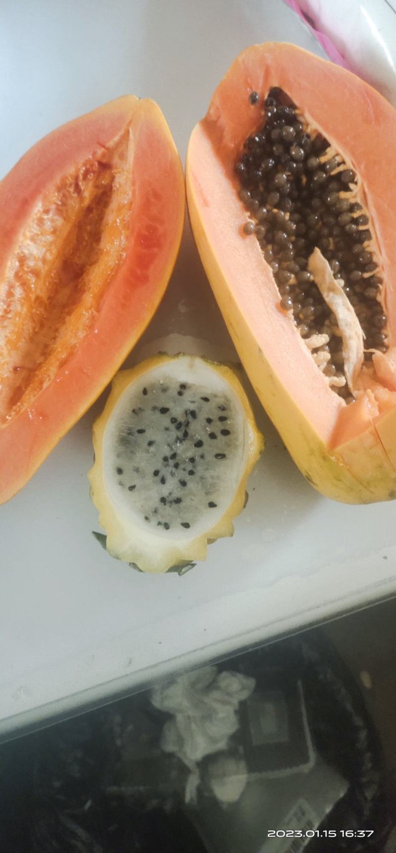 海南燕窝果