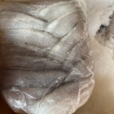 大量出售加州鲈活鱼加工鱼柳，鱼片，三去鲈鱼