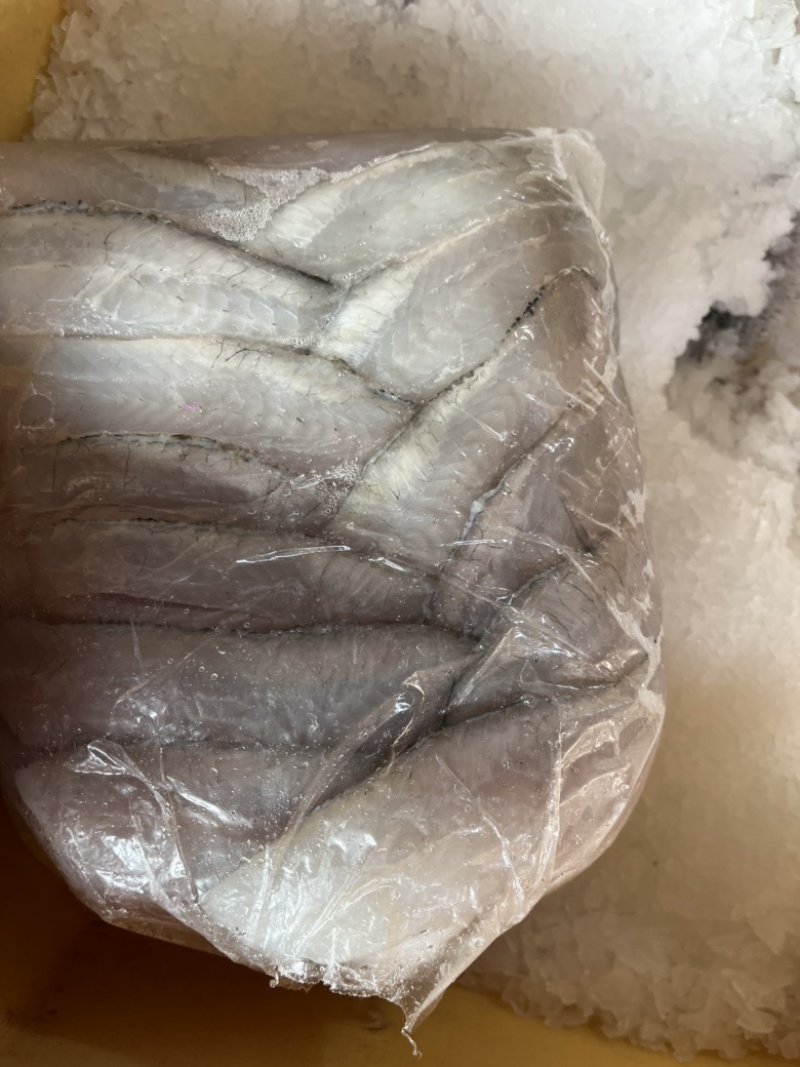 大量出售加州鲈活鱼加工鱼柳，鱼片，三去鲈鱼