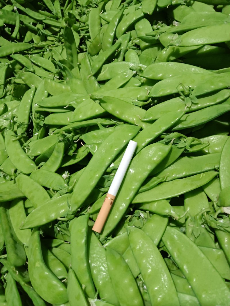 荷兰豆