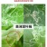 沪联阿维杀虫单灭蝇胺斑潜蝇鬼画符潜叶蝇地图虫杀虫剂农药