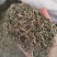 透骨草，凤仙透骨草，新货，自家加工，纯青无硫