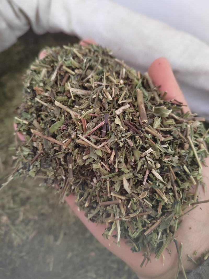 透骨草，凤仙透骨草，新货，自家加工，纯青无硫