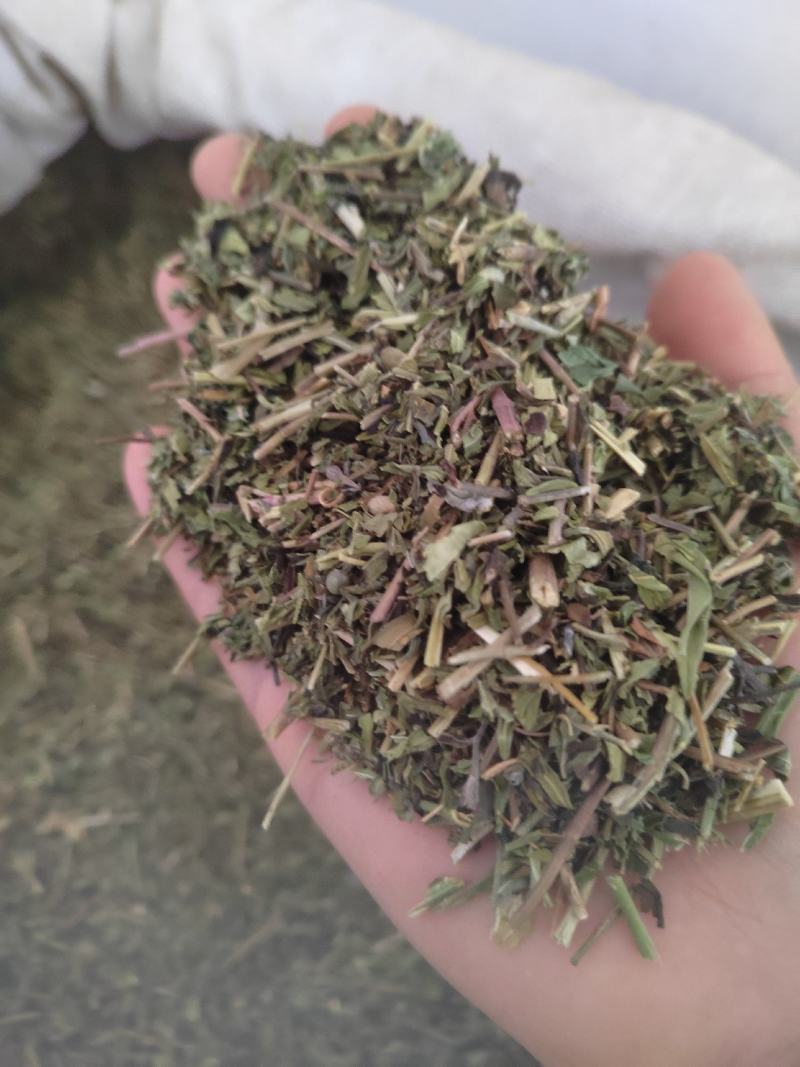 透骨草，凤仙透骨草，新货，自家加工，纯青无硫
