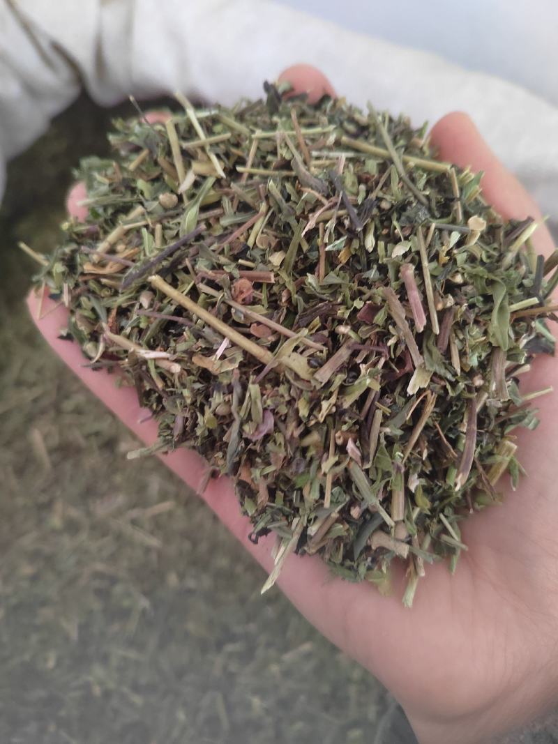 透骨草，凤仙透骨草，新货，自家加工，纯青无硫