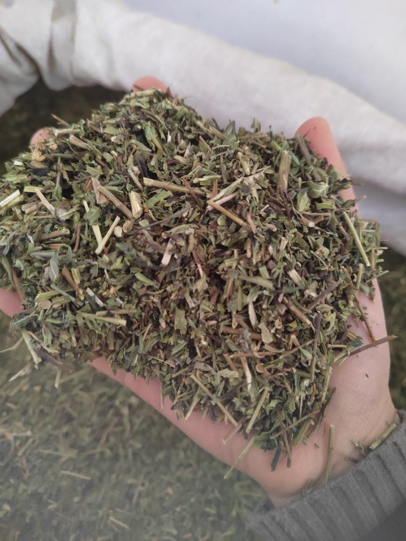 透骨草，凤仙透骨草，新货，自家加工，纯青无硫