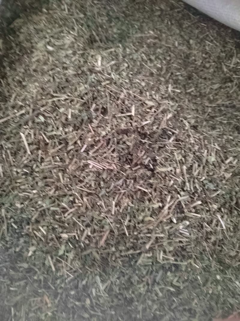 透骨草，凤仙透骨草，新货，自家加工，纯青无硫