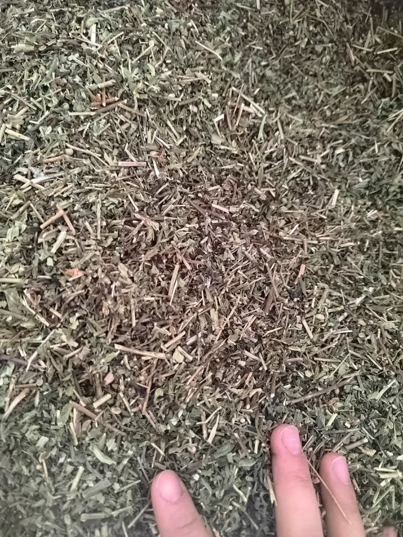 透骨草，凤仙透骨草，新货，自家加工，纯青无硫