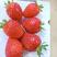 云南四季草莓种植基地，夏季草莓，蒙特瑞，已大量上市
