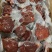 【卤味】真空酱香肉酱香猪肉风味手撕肉地摊跑江湖展会