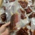 【卤味】真空酱香肉酱香猪肉风味手撕肉地摊跑江湖展会