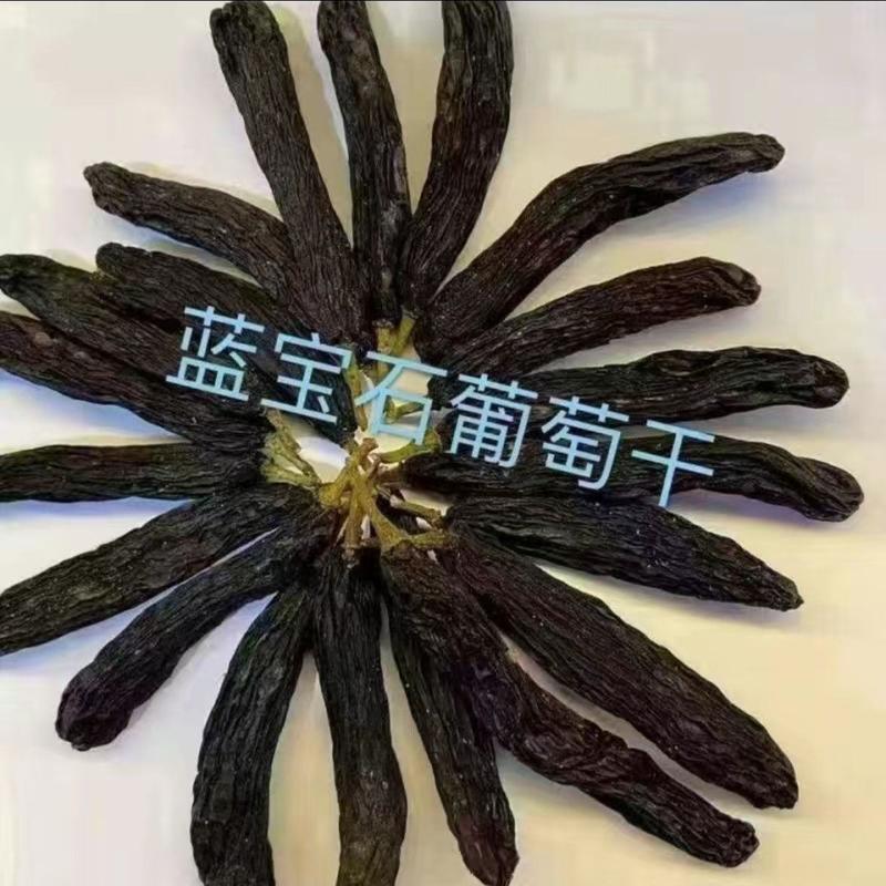 【热卖】新疆葡萄干，蓝宝石葡萄干特级一级品质欢迎实地考察