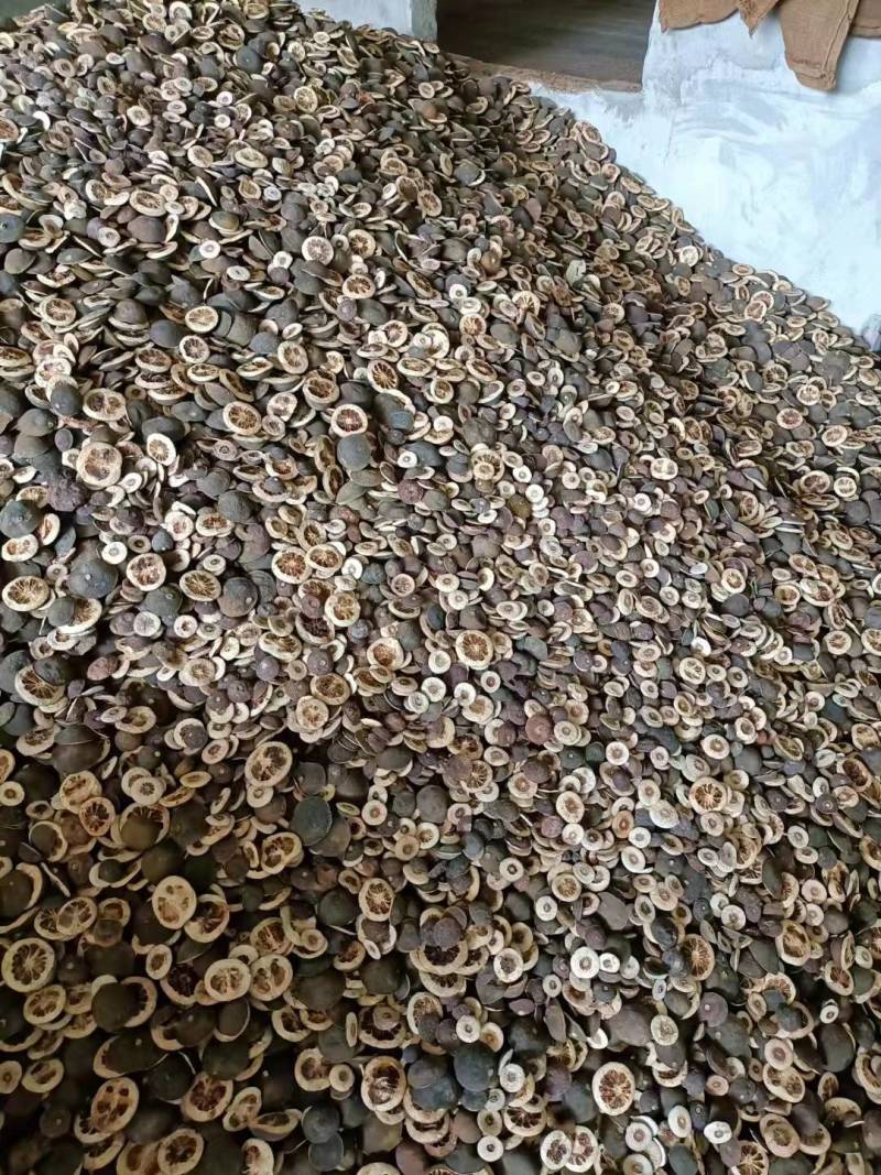 产地高含量川枳壳枳实大量供应，质量保证，欢迎选购