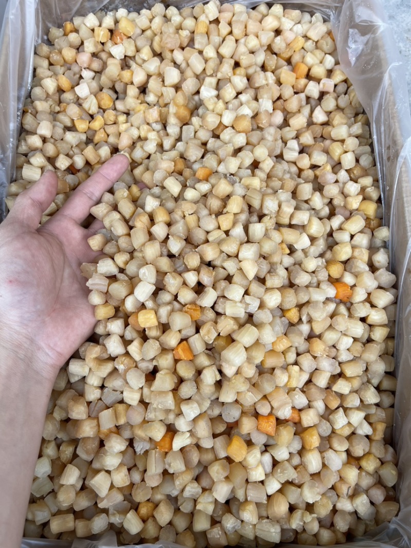 【产地大连】99干【自家工厂量大价优】可定制干贝元贝瑶柱