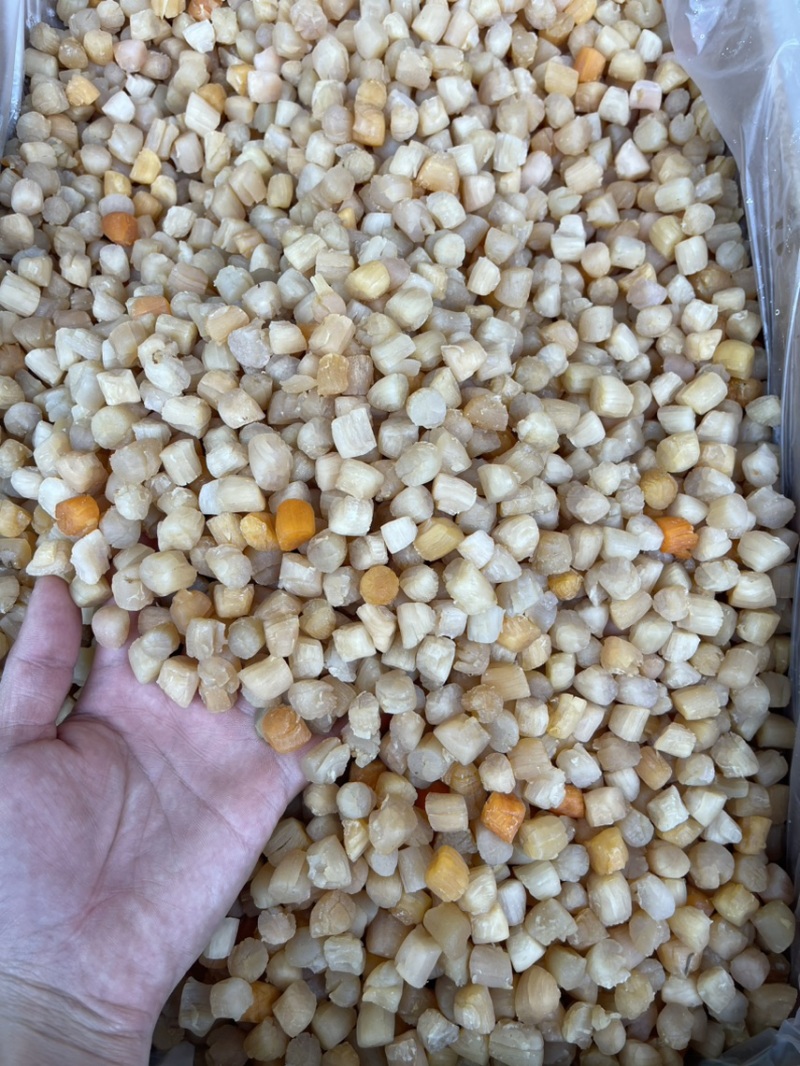 【产地大连】99干【自家工厂量大价优】可定制干贝元贝瑶柱
