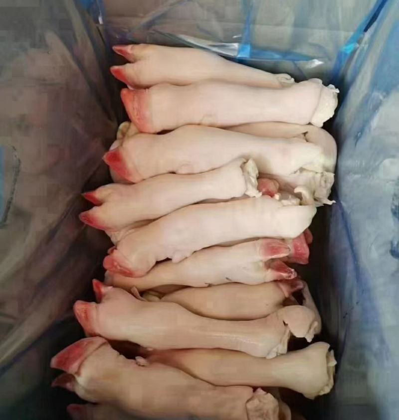 精品羊蹄一手货源批发品质保证价格美丽欢迎咨询合作