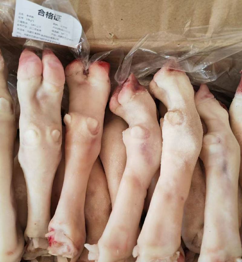 精品羊蹄一手货源批发品质保证价格美丽欢迎咨询合作