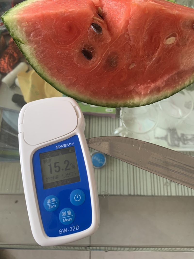 山东全美2K西瓜小糖丸西瓜手掰小吊瓜牛奶小西瓜
