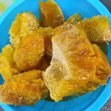云南西双版纳深山老林里的野生蜂蜜质量保证