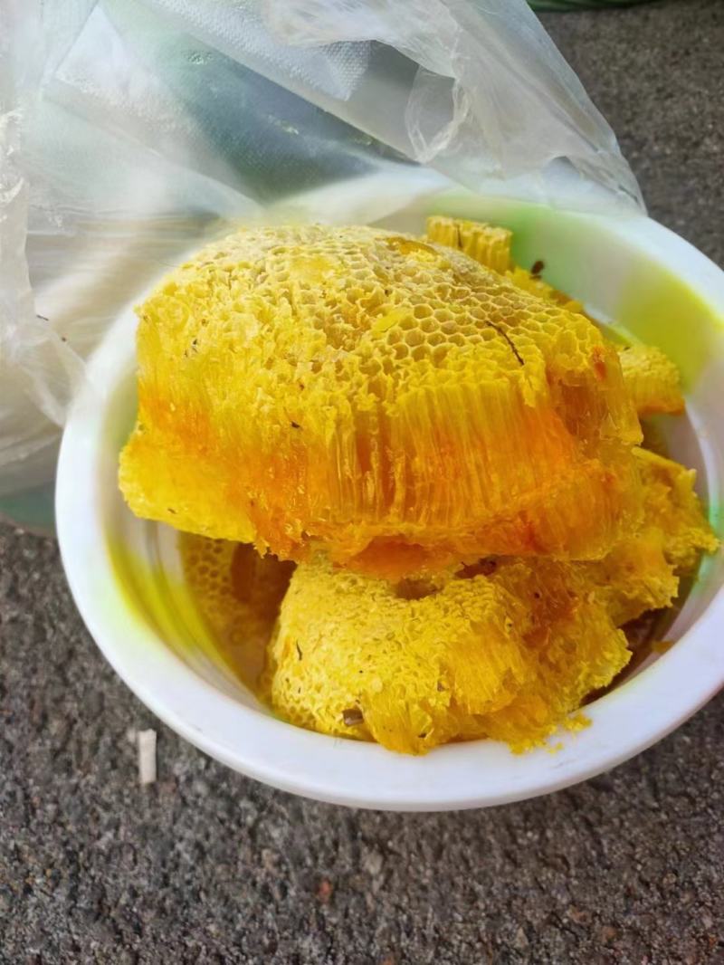 云南西双版纳深山老林里的野生蜂蜜质量保证