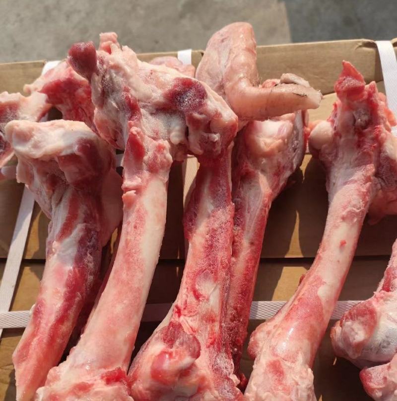 精品羔羊羊棒骨厂家直发一手货源批发品质保证价格便宜
