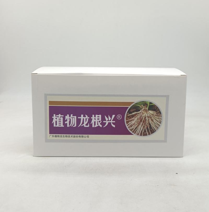 植物龙根兴西瓜辣椒黄瓜番茄豆角红薯甜瓜韭菜生根剂叶面肥