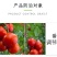 兰月5%萘乙酸调节生长提高座果促进生根植物生长调节剂